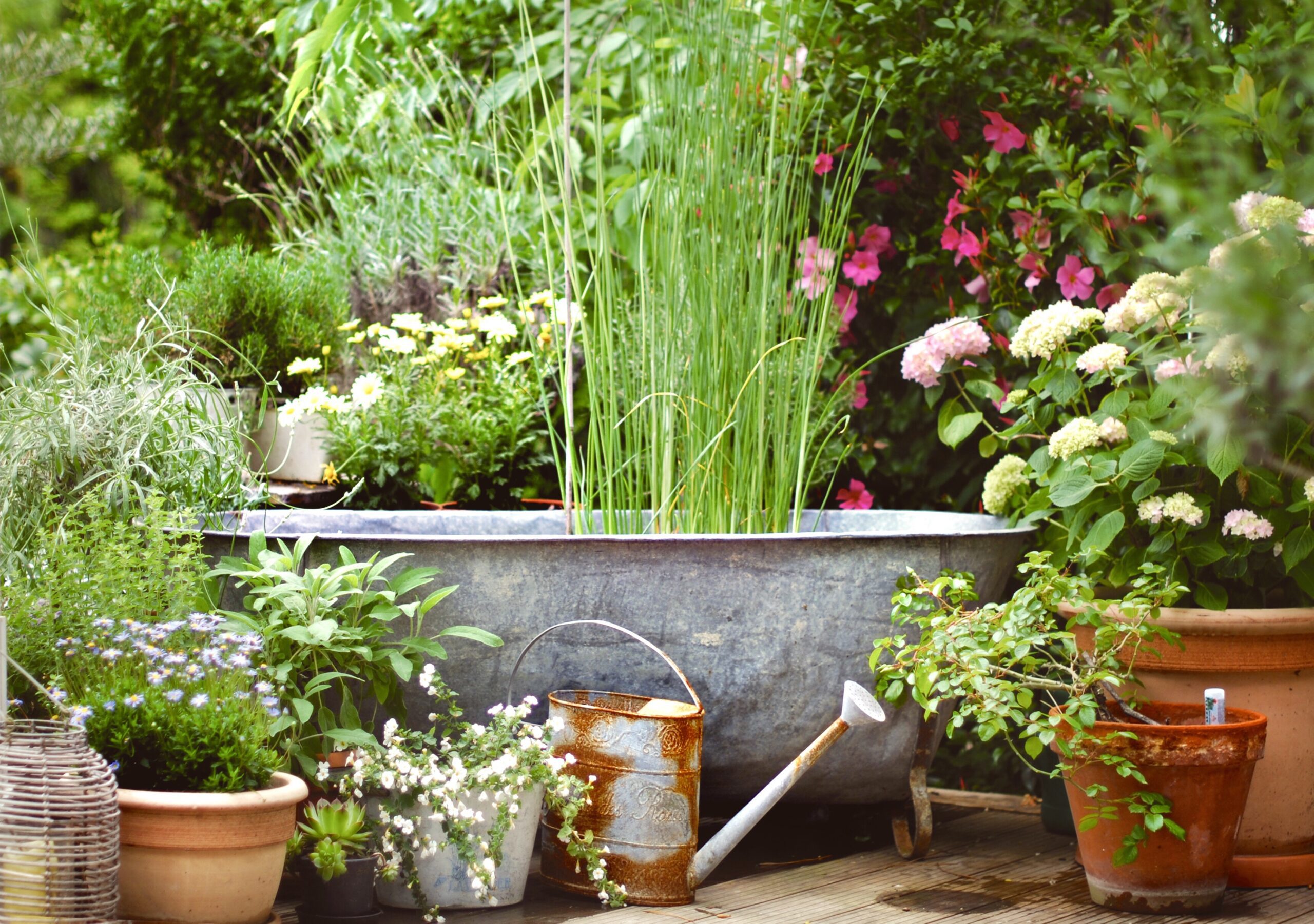 Best Tips for Container Gardening - Clearview Garden Shop